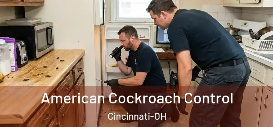  American Cockroach Control Cincinnati-OH