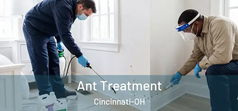  Ant Treatment Cincinnati-OH