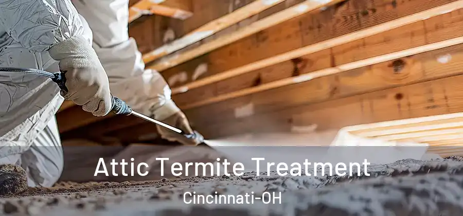 Attic Termite Treatment Cincinnati-OH