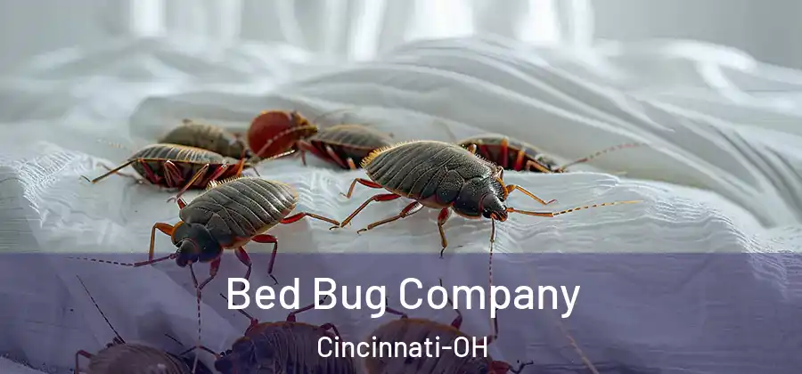 Bed Bug Company Cincinnati-OH