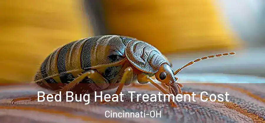  Bed Bug Heat Treatment Cost Cincinnati-OH