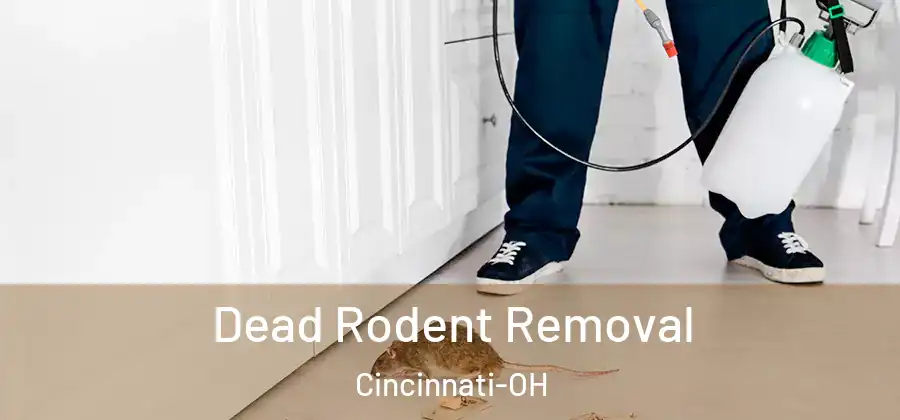 Dead Rodent Removal Cincinnati-OH