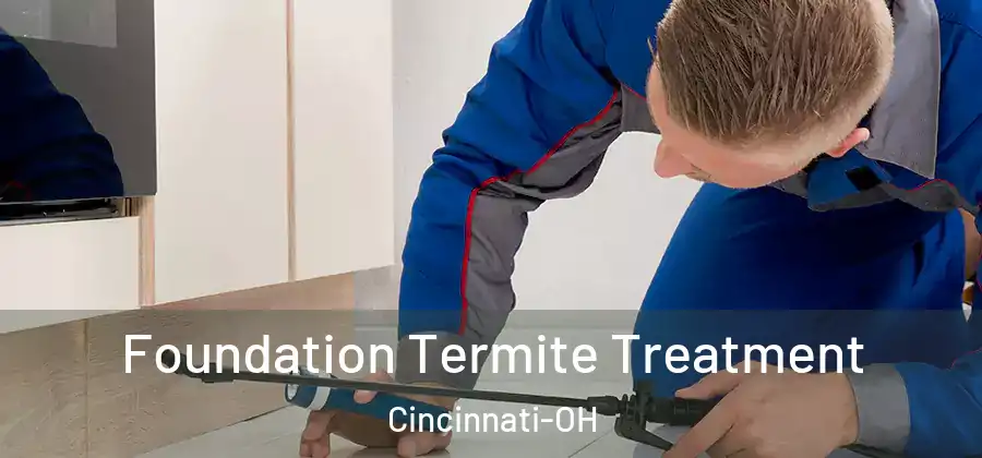 Foundation Termite Treatment Cincinnati-OH