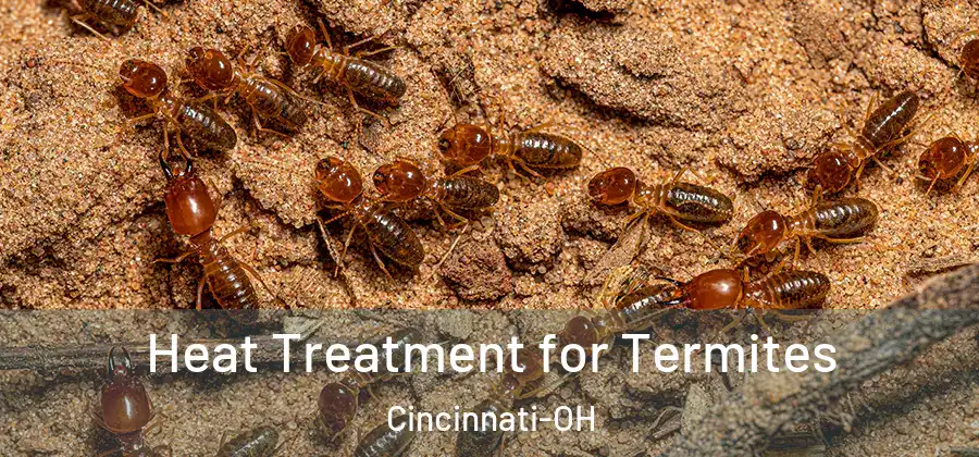  Heat Treatment for Termites Cincinnati-OH