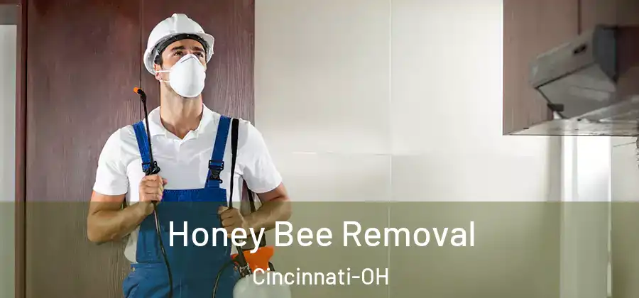 Honey Bee Removal Cincinnati-OH