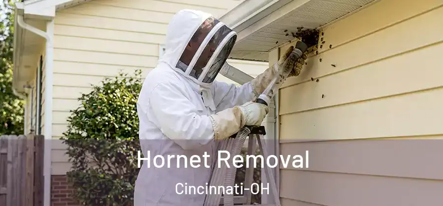 Hornet Removal Cincinnati-OH