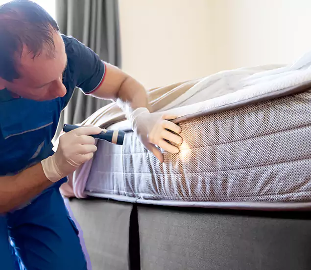 Trusted Bed Bug Cost Experts in Cincinnati, OH