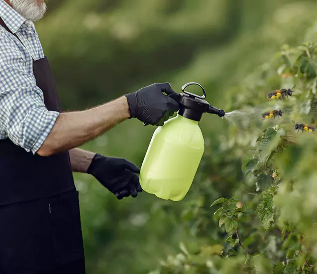 Your Carpenter Bee Service in Cincinnati, OH