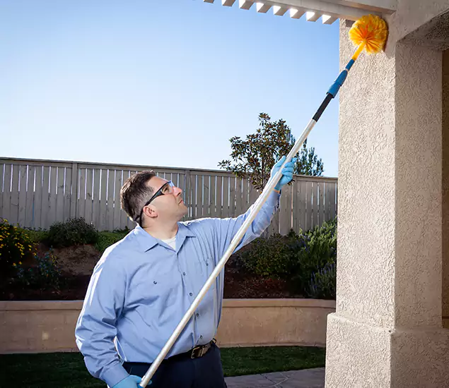 Trusted Experts in Cincinnati OH for Formosan Termite Treatment and Black Termite Control