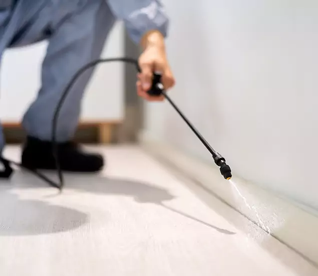 About Our Liquid Termite Treatment Experts in Cincinnati, OH