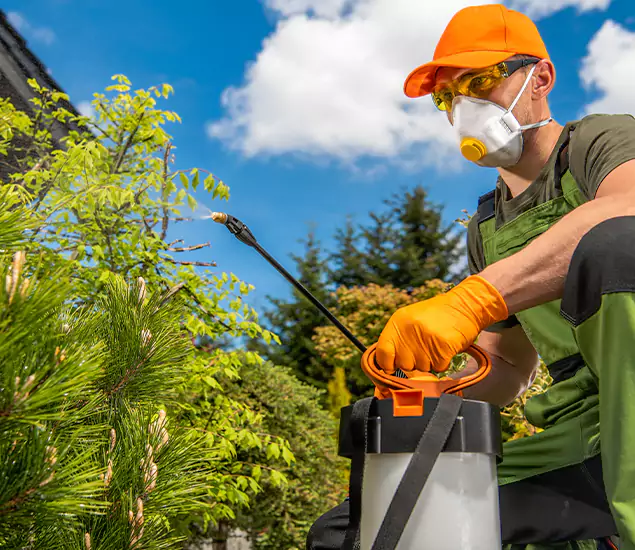 Your Mosquito Repellent Barrier Service in Cincinnati, OH