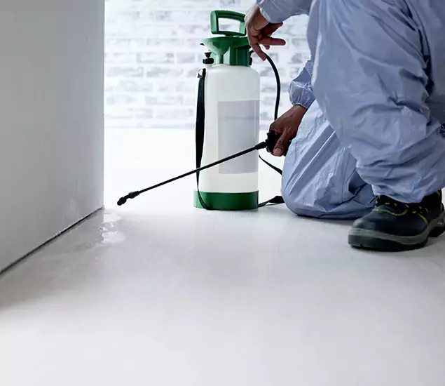 Affordable Pest Control Experts in Cincinnati, OH