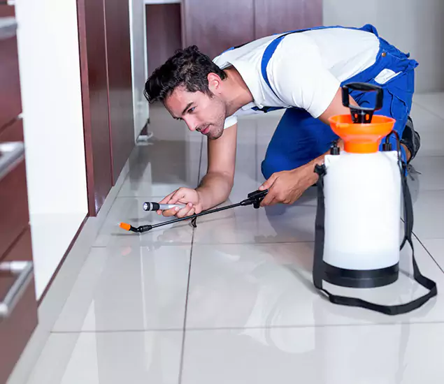 Advanced Slab Termite Treatment Experts You Can Trust&nbsp;in Cincinnati, OH