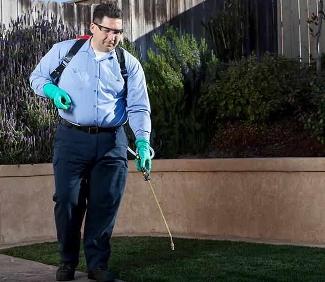Reliable Termite Barrier Treatment Experts in Cincinnati, OH