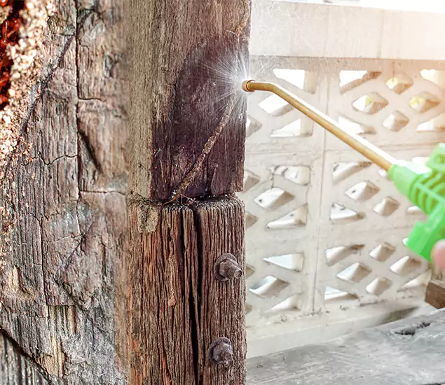 About Wood Termite Treatment Services in Cincinnati, OH