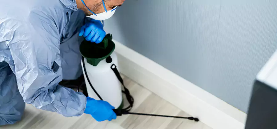 Fumigate Apartment Roaches in Cincinnati