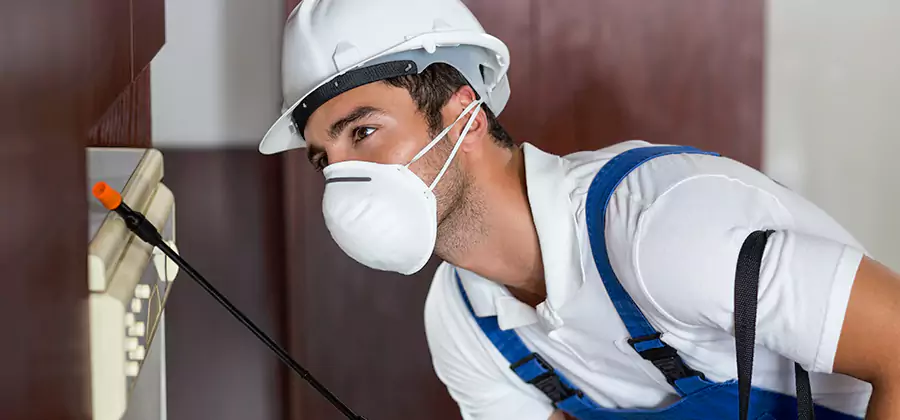 Injection Foam Treatment for Drywood Termites in Cincinnati
