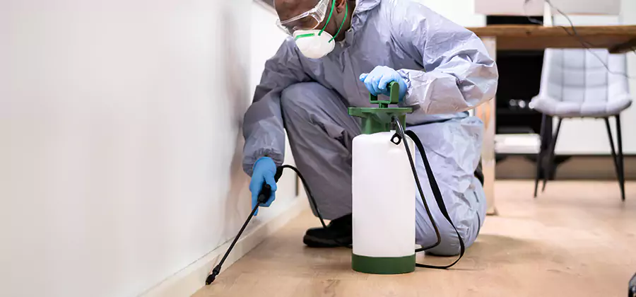 Long Lasting Mosquito Treatment in Cincinnati