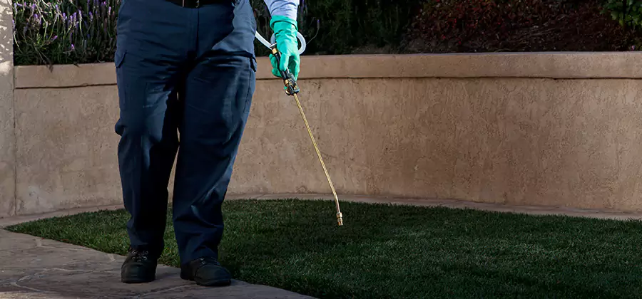 Soil Treatment for New Construction Termites in Cincinnati