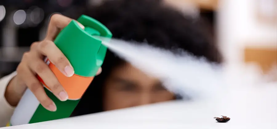 Child Safe Bed Bug Treatment in Cincinnati