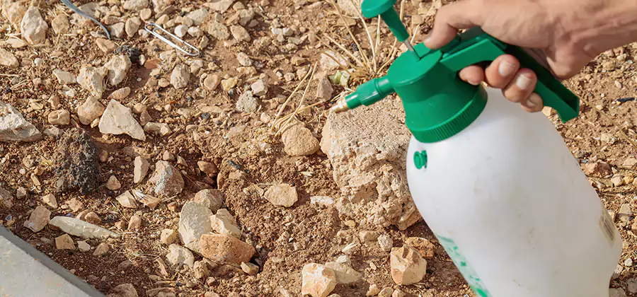 Heat Treatment Termite Cost in Cincinnati