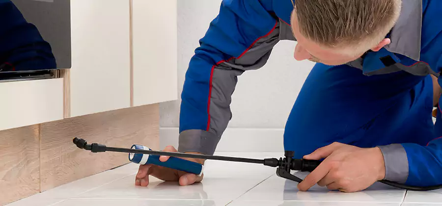 Moisture Treatment For Termite Control Service in Cincinnati