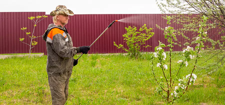 Flea and Tick Spray for Yard in Cincinnati