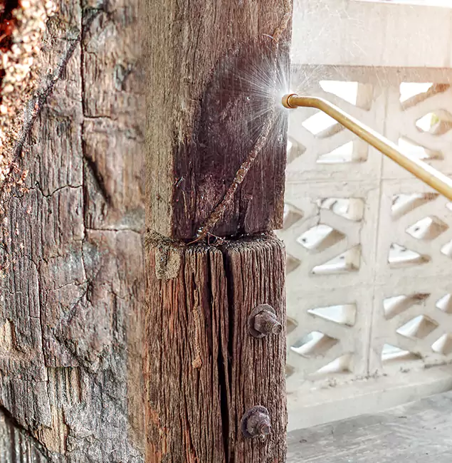 Why Choose Cincinnati Pest Control Pro for Attic Termite Treatment in Cincinnati, OH?