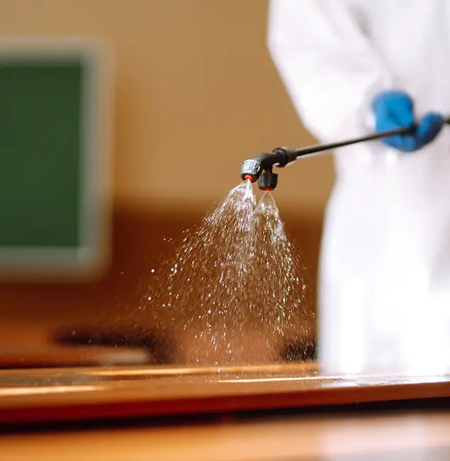 Why Choose Cincinnati Pest Control Pro for Bed Bug Chemical Treatment in Cincinnati, OH?