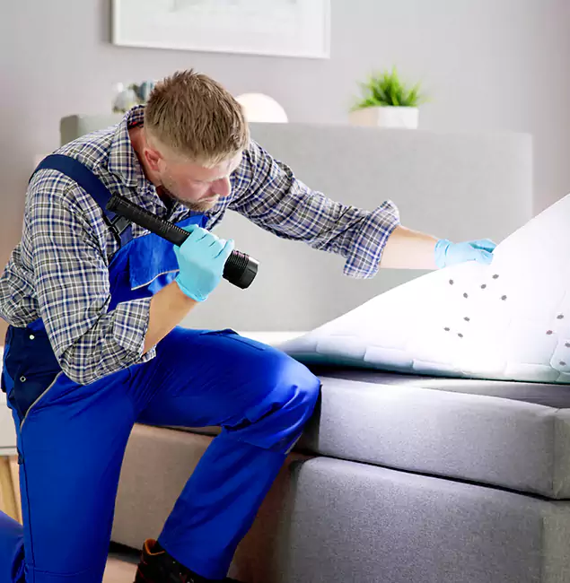 Why Choose Cincinnati Pest Control Pro for Bed Bug Exterminator Cost in Cincinnati, OH?