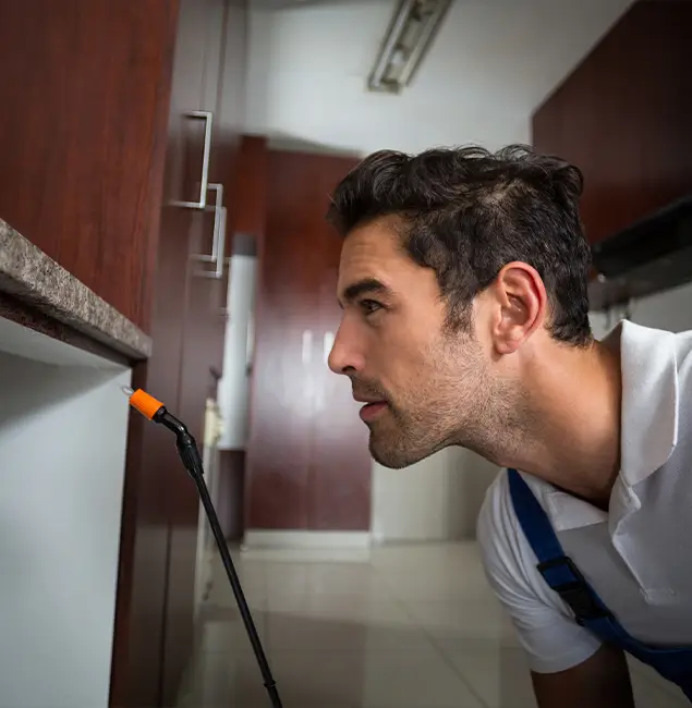 Why Choose Cincinnati Pest Control Pro for Bed Bug Removal Cost in Cincinnati, OH?