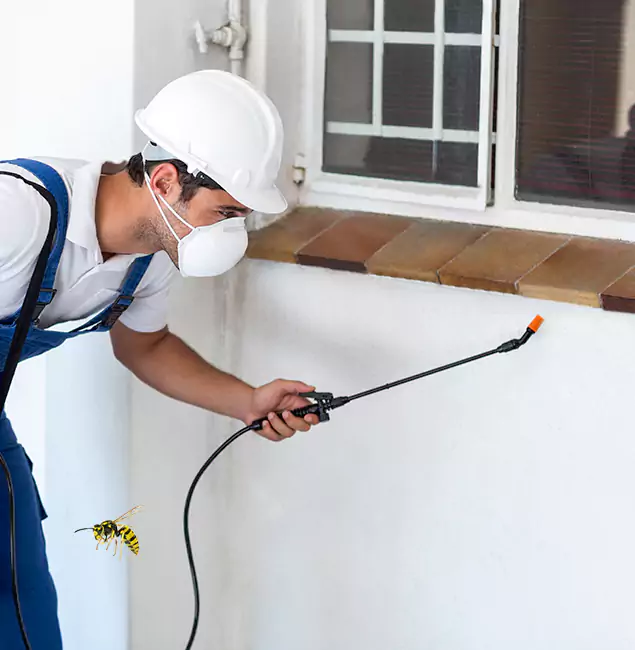 Why Cincinnati Property Owners Choose Cincinnati Pest Control Pro for Bee Nest Removal?