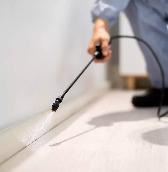 Why Choose Cincinnati Pest Control Pro for Termite Treatment in Cincinnati, OH?