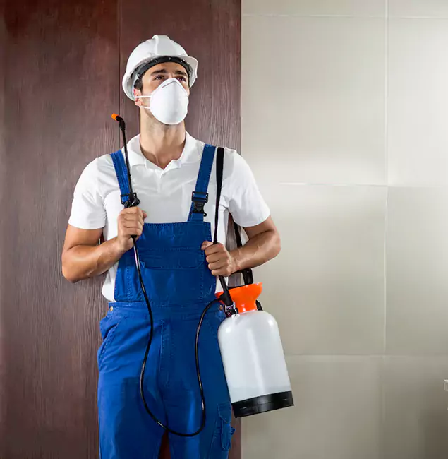 Why Choose Us for Heat Treatment for Termites in Cincinnati, OH?