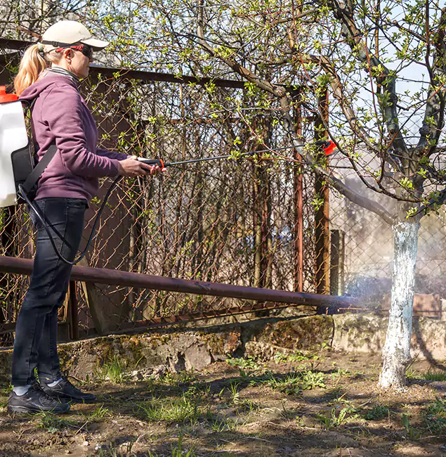 Why Cincinnati Homeowners Choose Cincinnati Pest Control Pro for Mosquito Abatement?