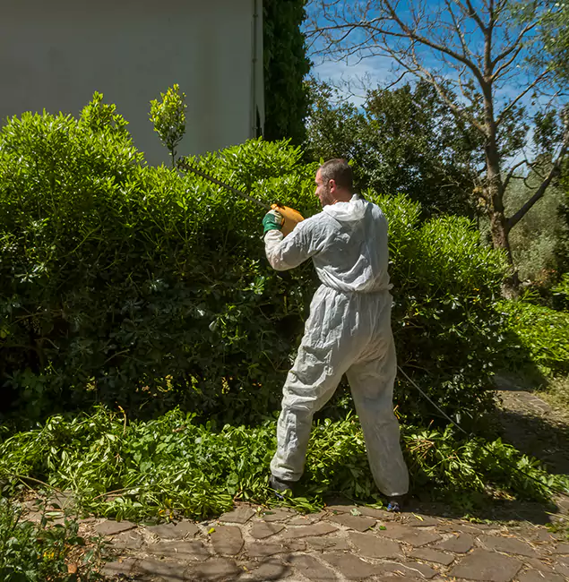 Why Cincinnati Pest Control Pro Leads Mosquito Control in Cincinnati, OH?