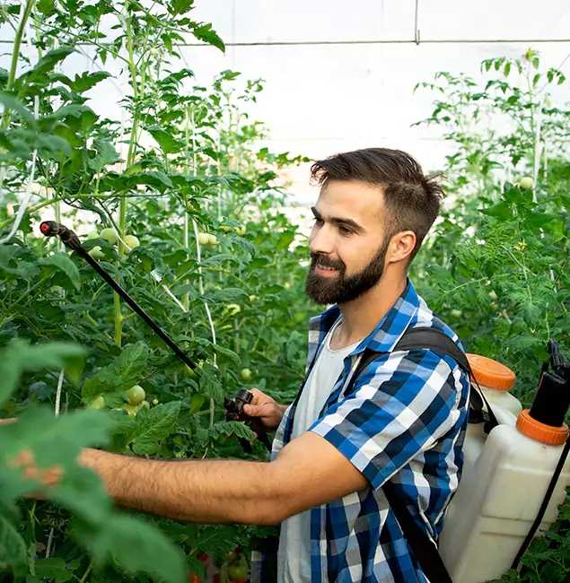 Why Cincinnati Homeowners Choose Cincinnati Pest Control Pro for Mosquito Spraying?