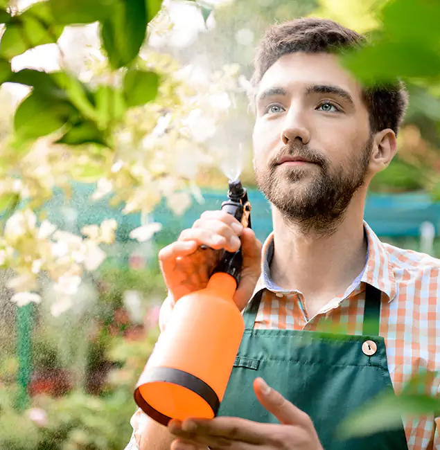 Why Cincinnati Homeowners Call Cincinnati Pest Control Pro for Mosquitoes in House?