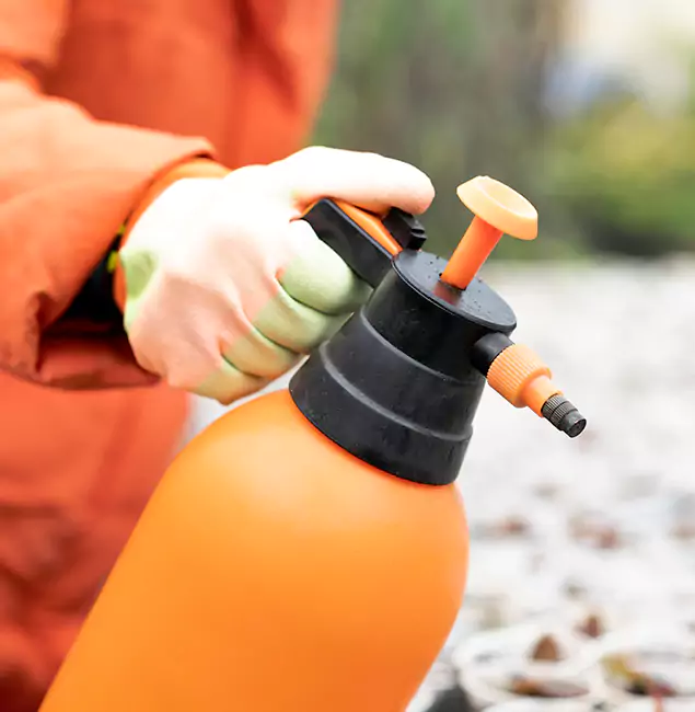 Why Choose Cincinnati Pest Control Pro for Orange Termite Treatment in Cincinnati, OH?