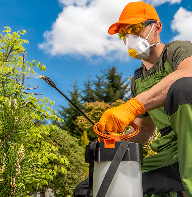 Why Choose Cincinnati Pest Control Pro for Outdoor Pest Control in Cincinnati, OH?