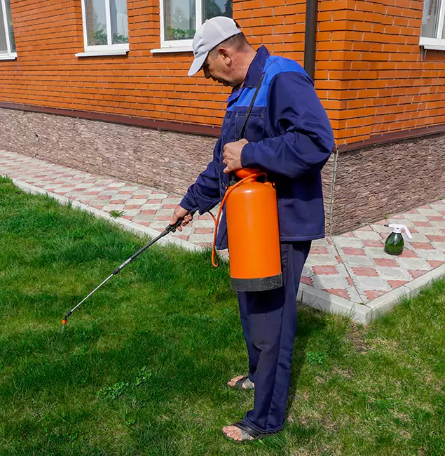 Why Choose Cincinnati Pest Control Pro for Residential Pest Control in Cincinnati, OH?