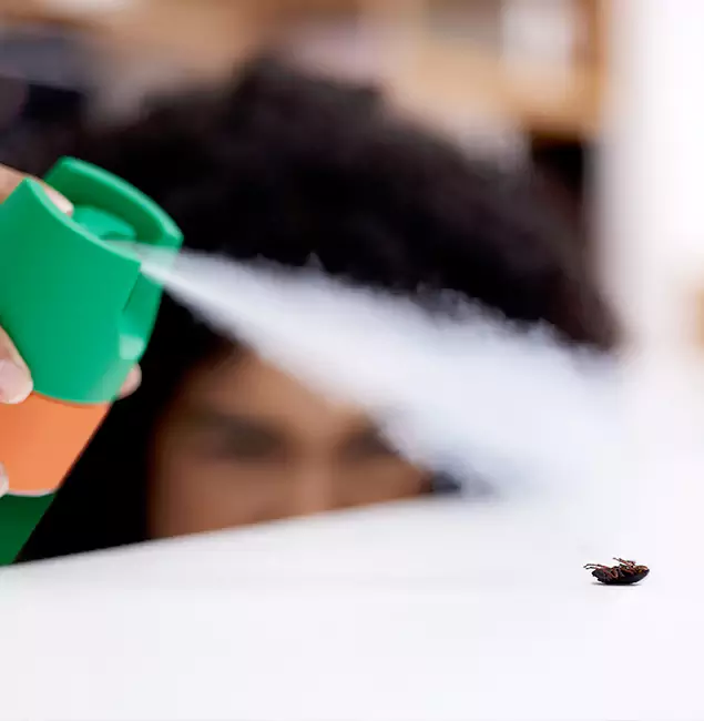 Why Cincinnati, OH Homeowners Choose Cincinnati Pest Control Pro for Roach Pest Control?