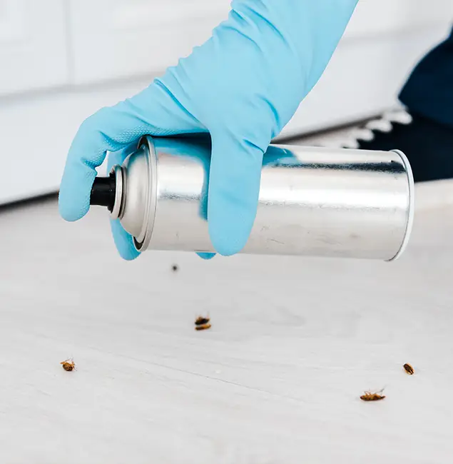 Why Choose Cincinnati Pest Control Pro for Safe Bed Bug Treatment in Cincinnati, OH?