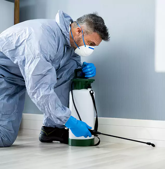 Why Choose Cincinnati Pest Control Pro for Subterranean Termites Treatment in Cincinnati, OH?