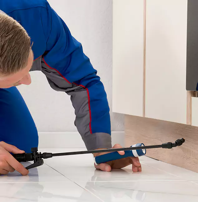 Why Cincinnati Residents Choose Cincinnati Pest Control Pro to Get Rid of Sugar Ants?