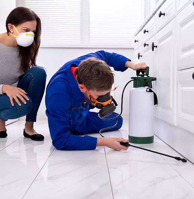 Why Choose Cincinnati Pest Control Pro for Termite Inspection Cost in Cincinnati, OH?
