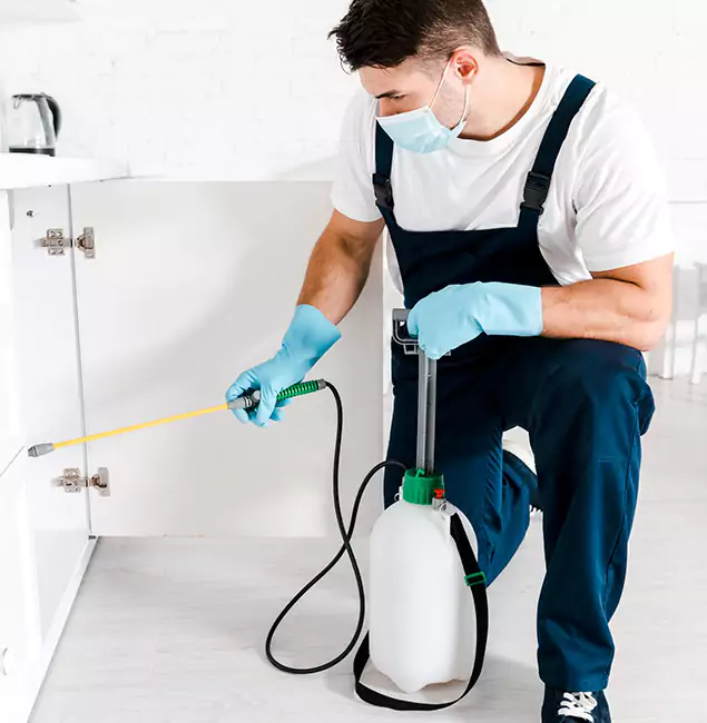 Why Choose Cincinnati Pest Control Pro for Termite Spot Treatment in Cincinnati, OH?