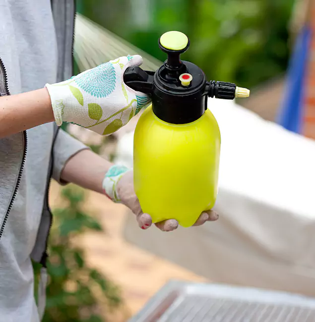 Why Choose Us: Cincinnati Pest Control Pro Termite Spraying Experts in Cincinnati, OH?