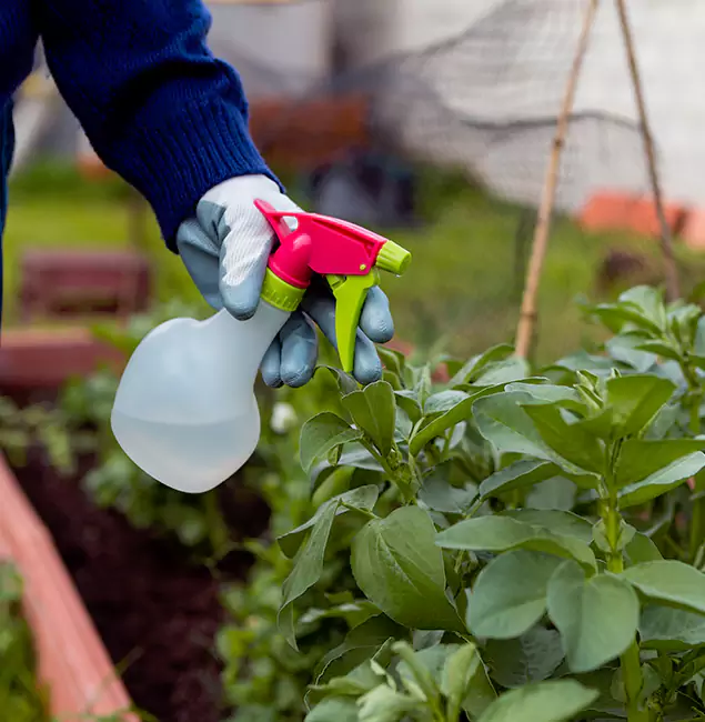 Why Cincinnati Relies on Cincinnati Pest Control Pro for Wasp Control Services?