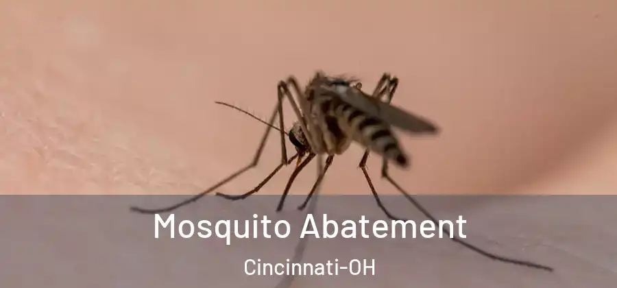 Mosquito Abatement Cincinnati-OH